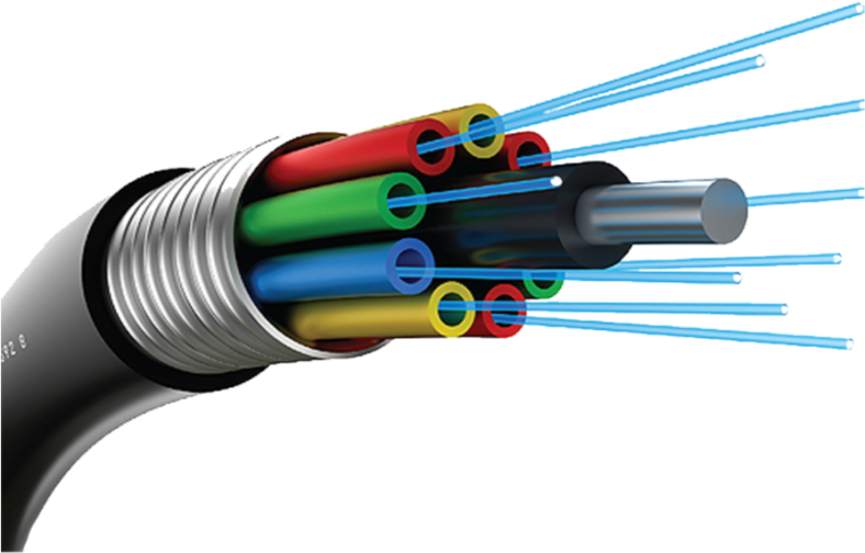 fiber